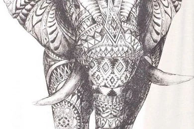 Love Photography Animals Cute Black And White Quotes Hipster ...