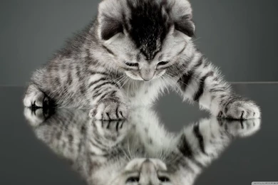 Strange Way To See The Things HD Desktop Wallpapers : Widescreen ...