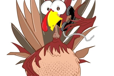 Funny Thanksgiving Turkey Pictures   Wallpapers HD Fine