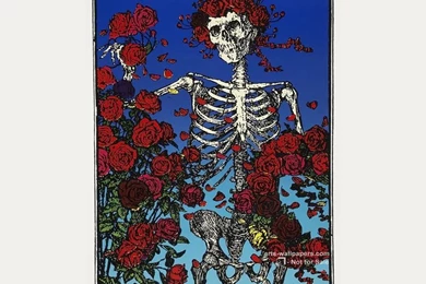 Grateful Dead Wallpapers   Greatful Dead Images, Pictures, Photos ...