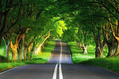 Free Animated Desktop Wallpapers Archives   Free Wallpapers In