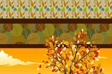 IPdash: Fall Y"all For 6+