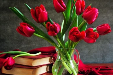 Flower Wallpapers For Facebook Profile