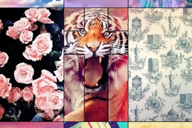 Hipster.s Wallpapers HD   Cool Hipster Effect Photographs