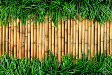 1920x1200px Bamboo Backgrounds HD