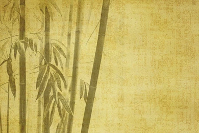 Bamboo Digital Art Oriental Drawings Backgrounds Simple Wallpapers ...