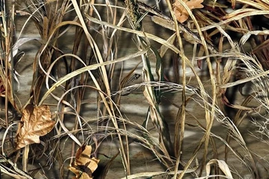 Max 4 Wallpapers 2015   Grasscloth Wallpapers