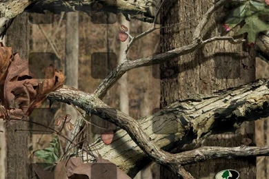 Gallery For   Mossy Oak Camo Wallpapers For Iphone