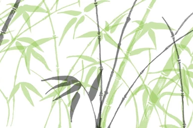 Bamboo Backgrounds By Akibutt On DeviantArt