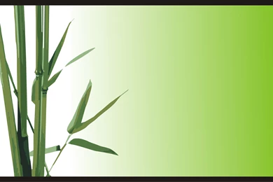 Bamboo Backgrounds   ImgMob