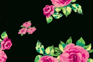 Victoria Secret Pink Wallpapers   Wallpapers HD Wide