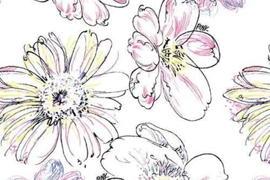 Victoria's Secret Pink