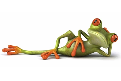 3D Animal Images   HD Images New