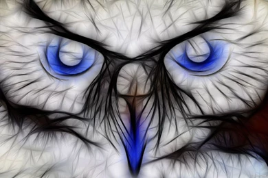 Best 3D Animal Wallpapers