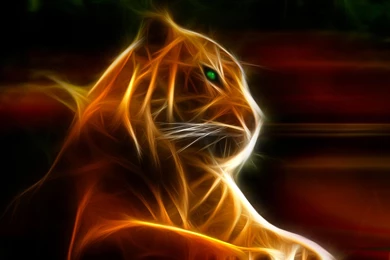 3D Animal HD Wallpapers Free Download