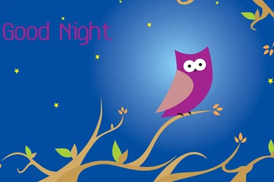 Good Night New Hd Wallpapers