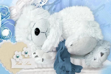 Good Night HD Wallpapers Download  AtozWallpapers