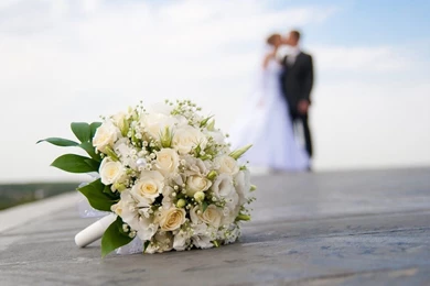 Valentine Day 2014: Hd Wallpapers Blut