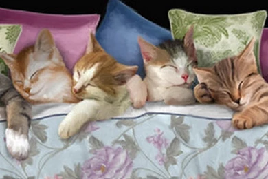 Good Night HD Wallpapers Free Download