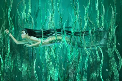 135 Mermaid HD Wallpapers