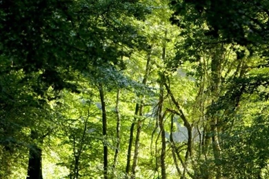 Nature Landscape 50 HD Desktop Wallpapers : Widescreen : High ...