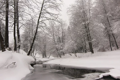 Winter Backgrounds Wallpapers