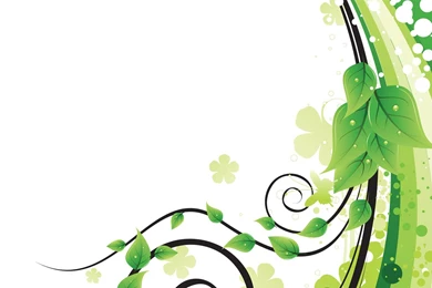 Green Leaves, Swirls And Curves Wallpapers   Vector Wallpapers