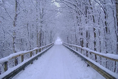 Winter Scenes for Desktop Wallpapers 9.jpg