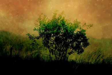 Free Mobile Downloads: HD WALLPAPER'S COLLECTION 3 DIRECT DOWNLOAD