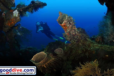 Wallpapers Barrel Sponge 1680 1050