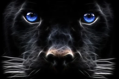 Wallpapers 53 Intrawallpapers Resimkoy