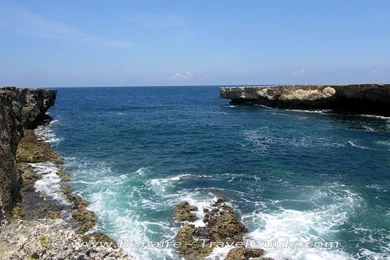 Bonaire Free Wallpapers