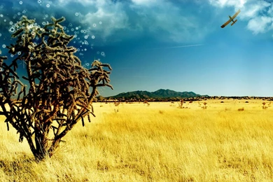 3D Beautiful Wallpapers