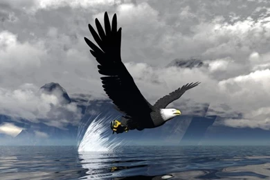 Beautiful 3D Animated Women