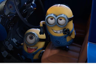 Humor Funny Despicable Me Wallpapers Photos Images