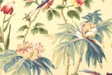 DecoratorsBest   Bird Wallpapers