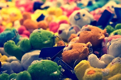 Photography Desktop Wallpapers   Top Wallpapers Desktop