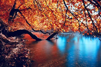 Wallpapers: Photography Wallpapers For Desktop