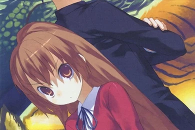 Toradora! 720x1280 iPhone 5 Nokia Wallpapers