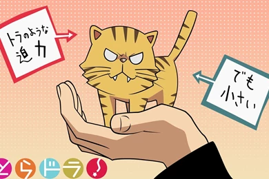 Toradora! Anime Wallpapers HD