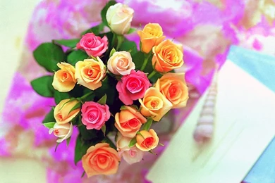 Beautiful Roses Wallpapers (20 Photos)