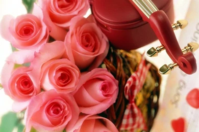 1024x768px Beautiful Roses Wallpapers