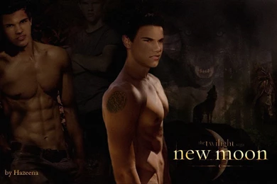 Jacob Black Twilight Wallpaper: Hasso