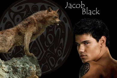 Jacob Twilight Wallpapers   Wallpapers Cave