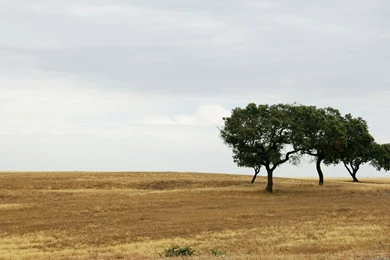 20/21inches 1680x1050 Resoluti_High Definition Wallpapers ...