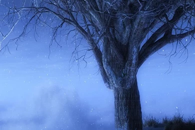 At Worlds Edge Winter At Worlds Edge Winter Samsung Galaxy ...