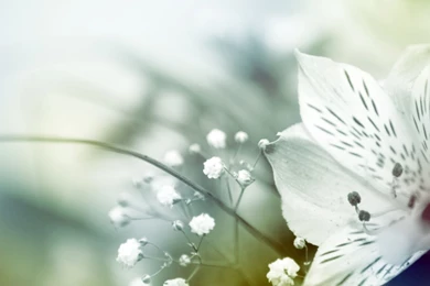 Superb Samsung Galaxy S4 Wallpapers