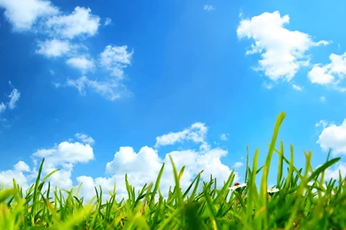 Steve Bradford On Protecting The Environment