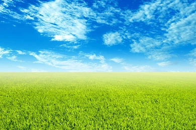 Sky And Grass Wallpapers