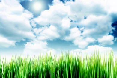Sky Over The Grass By Sagorpirbd On DeviantArt
